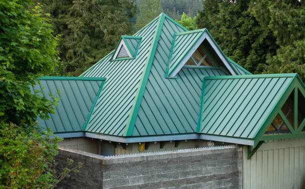 Steel Roofing in Winnebago, MN