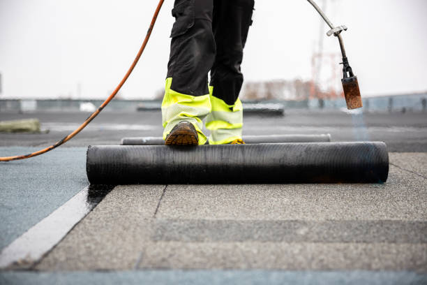 Best Roofing for New Construction  in Winnebago, MN