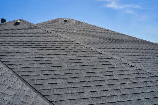 Best Gutter Installation and Repair  in Winnebago, MN